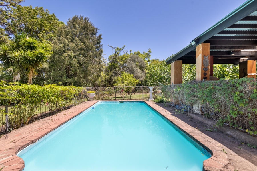 Commercial Property for Sale in Wittedrift Western Cape